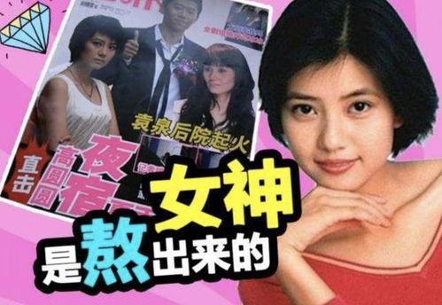 娱乐圈吃瓜实锤小说推荐,吃瓜实锤，揭开明星背后的秘密